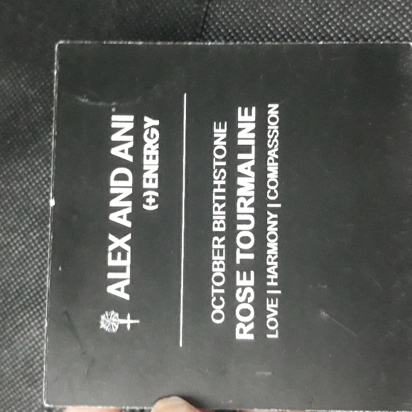 Alex And Ani charm bracelet - Picture 3 of 4